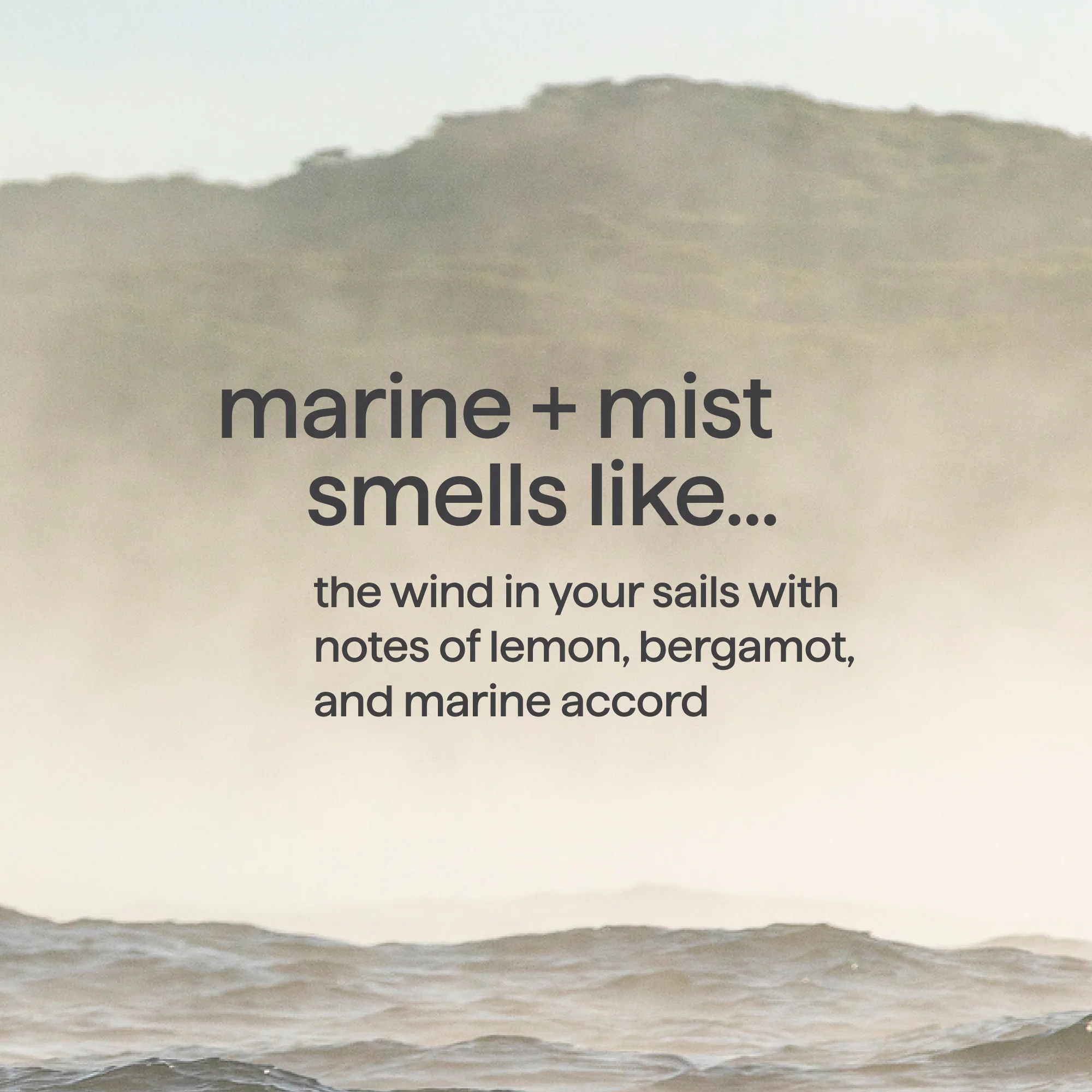 2-in-1 shampoo + conditioner - marine + mist, 14 fl oz 5 2-in-1 shampoo + conditioner - marine + mist, 14 fl oz