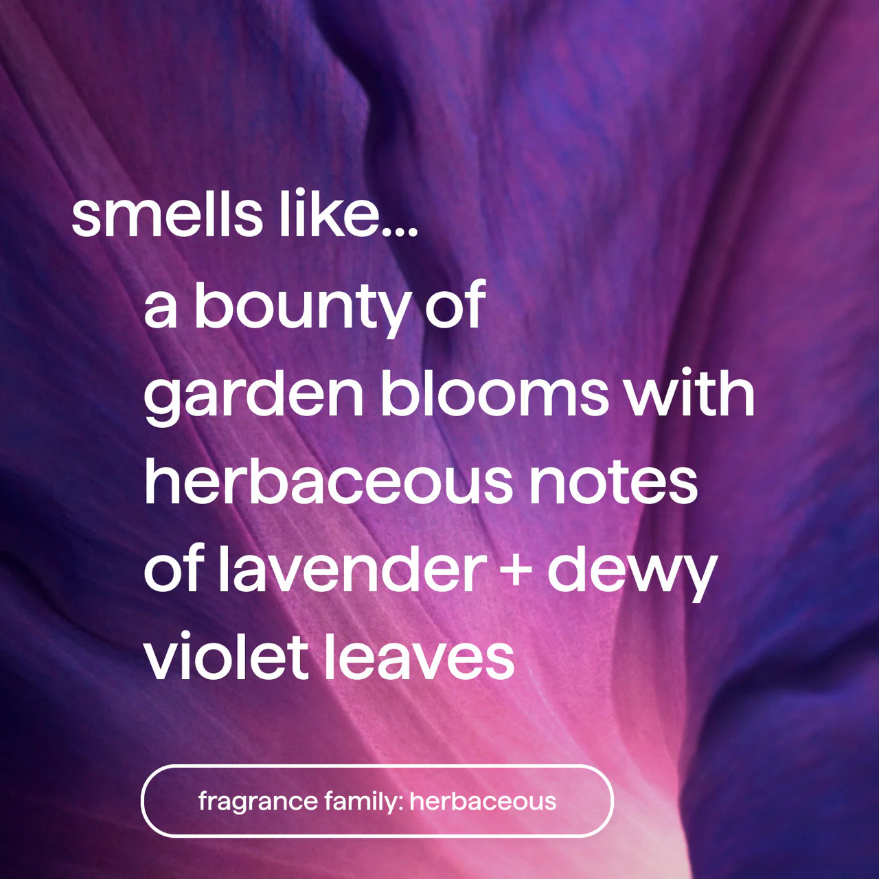 premium soy candle - violet + lavender, 14 oz 4 premium soy candle - violet + lavender, 14 oz