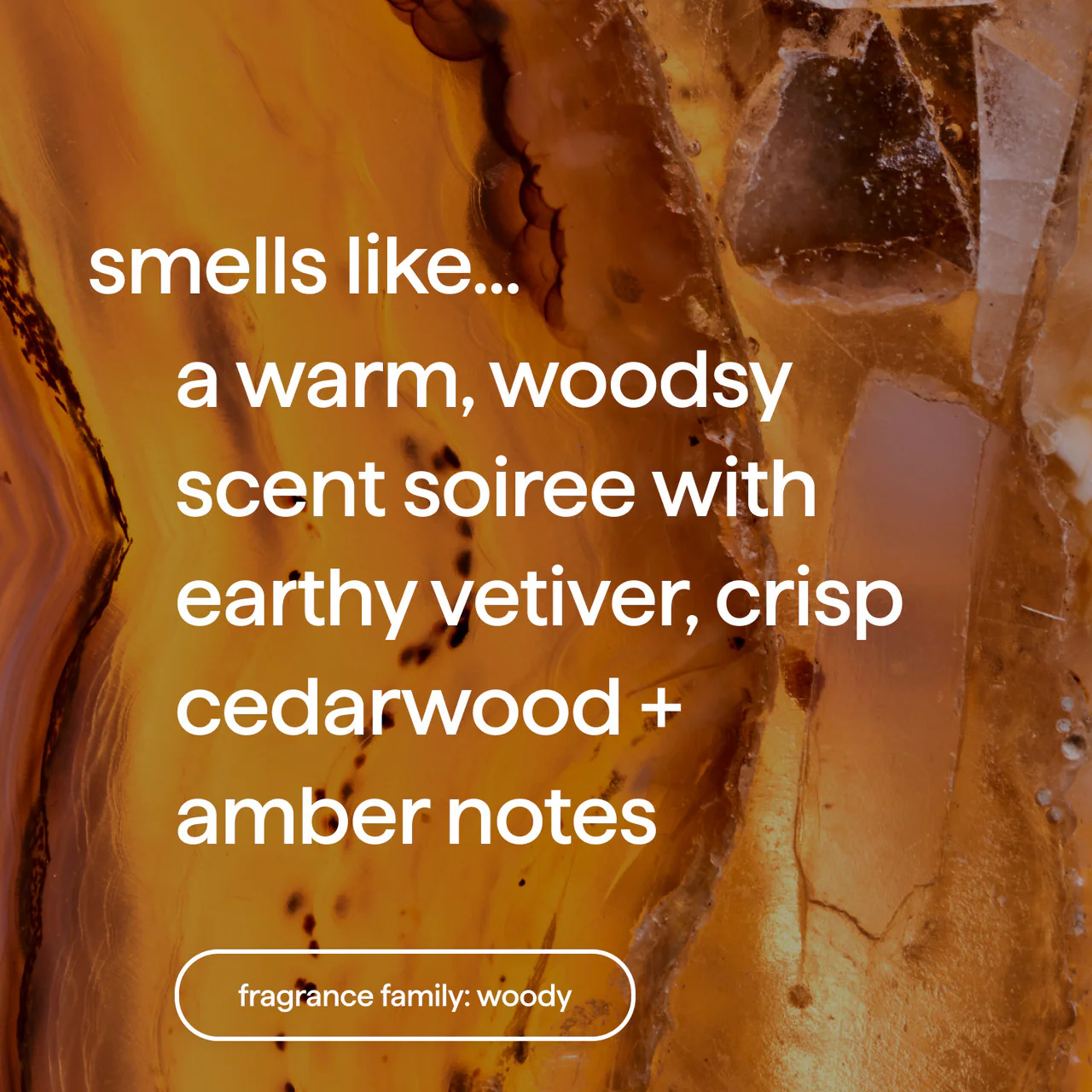 premium soy candle - vetiver + amber, 14 oz 4 premium soy candle - vetiver + amber, 14 oz
